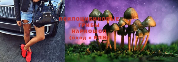 марихуана Белокуриха