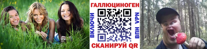 blacksprut онион  продажа наркотиков  Шахунья  Галлюциногенные грибы Psilocybe 